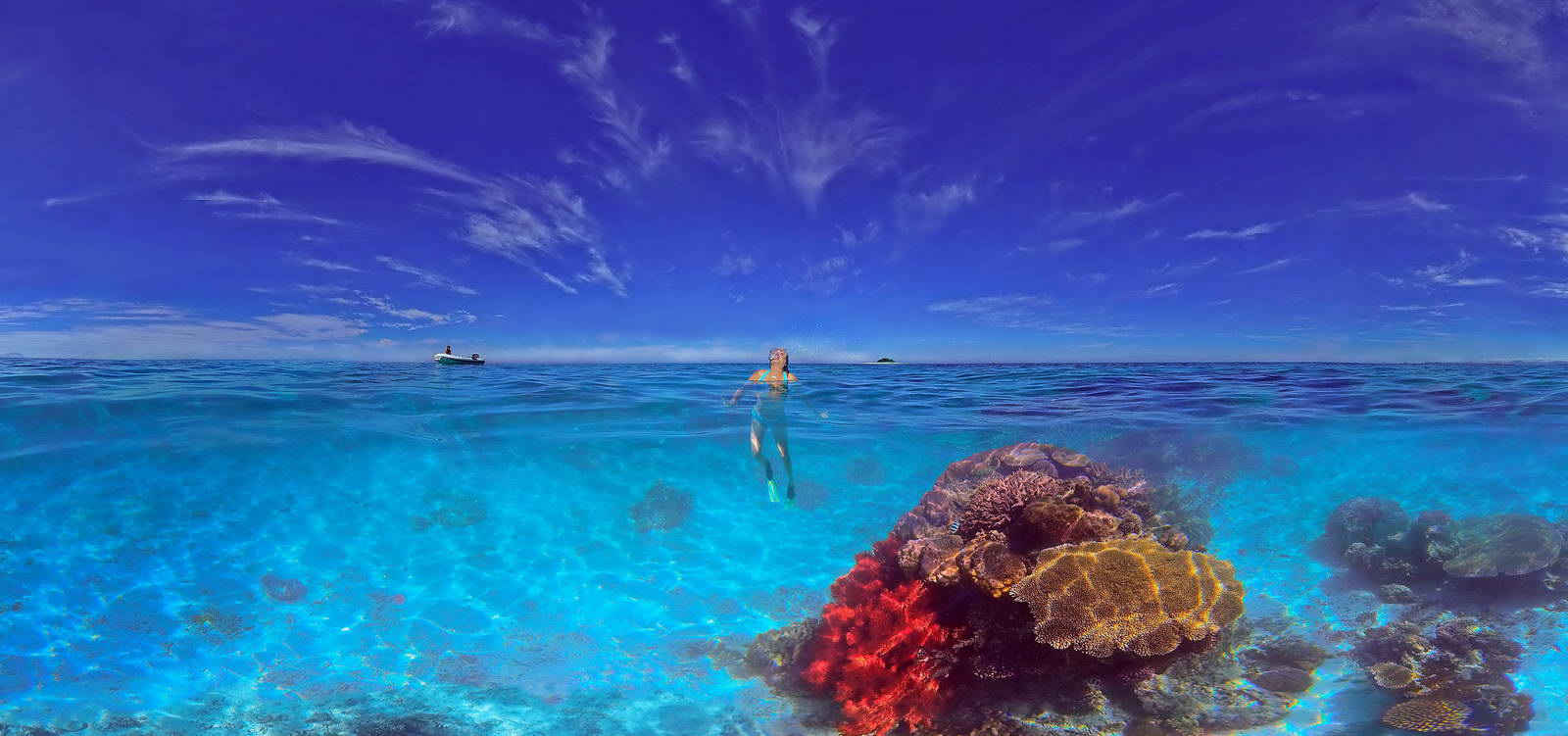 Rocket Guide to Diving in New Caledonia