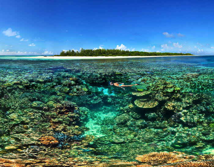 Guide to Diving in the New Caledonia Lagoon